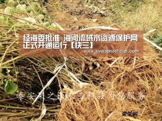 经海委批准 海河流域水资源保护网正式开通运行【快三】(图3) 快三官方app下载