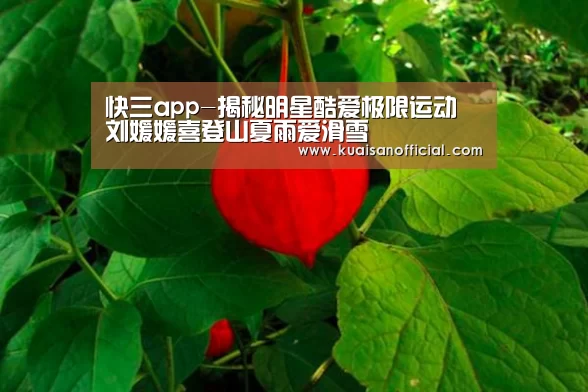 快三app-揭秘明星酷爱极限运动 刘媛媛喜登山夏雨爱滑雪(图3) 快三