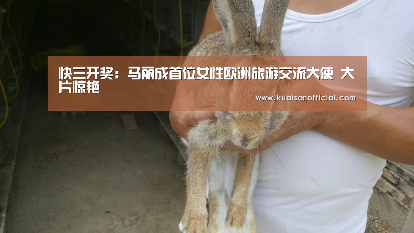快三