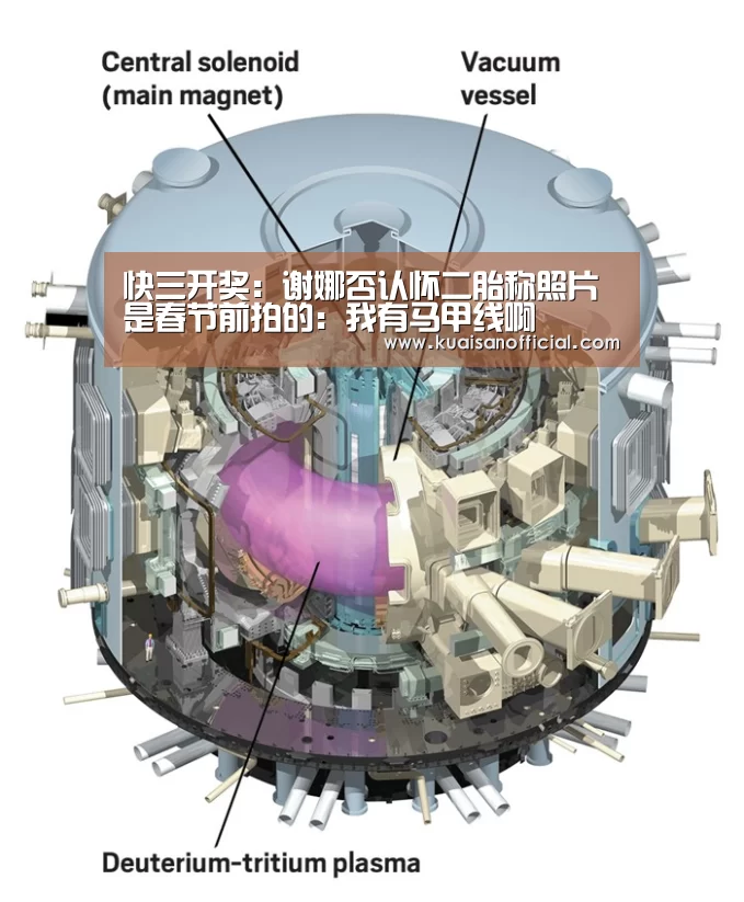 快三开奖:谢娜否认怀二胎称照片是春节前拍的:我有马甲线啊(图1) 快三app