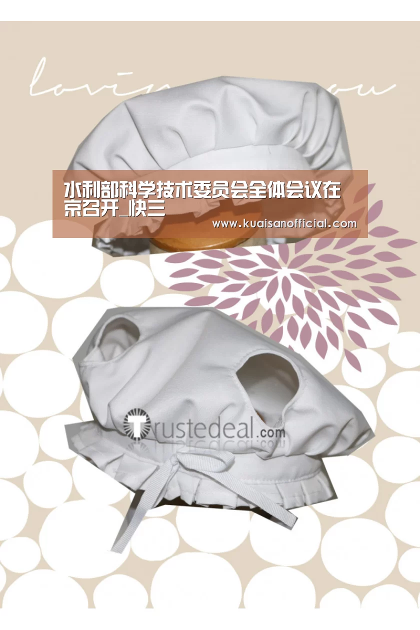 水利部科学技术委员会全体会议在京召开_快三(图1) 快三